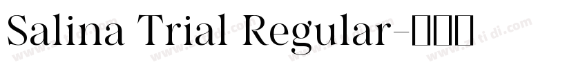 Salina Trial Regular字体转换